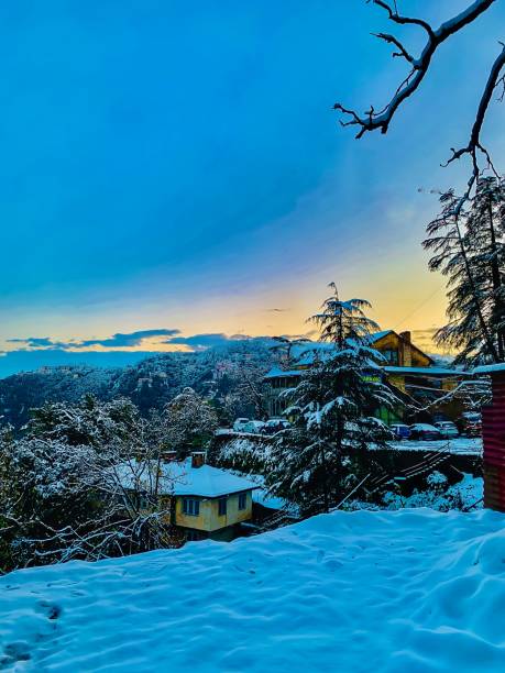 shimla.jpg